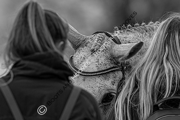 Badminton Horse Trials presented by Mars Equestrian