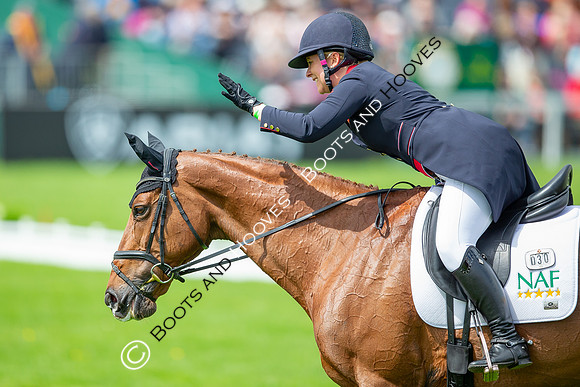 Badminton Horse Trials presented by Mars Equestrian