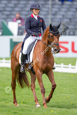 Badminton Horse Trials presented by Mars Equestrian