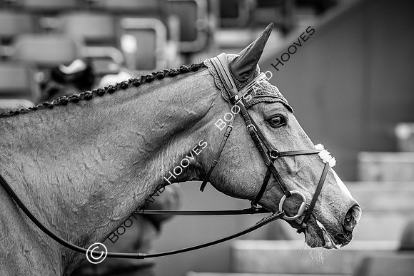 Badminton Horse Trials presented by Mars Equestrian