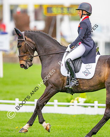 Badminton Horse Trials presented by Mars Equestrian
