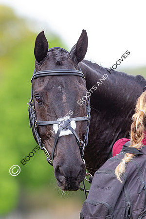 Badminton Horse Trials presented by Mars Equestrian