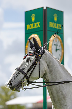 Badminton Horse Trials presented by Mars Equestrian