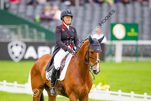 Badminton Horse Trials presented by Mars Equestrian