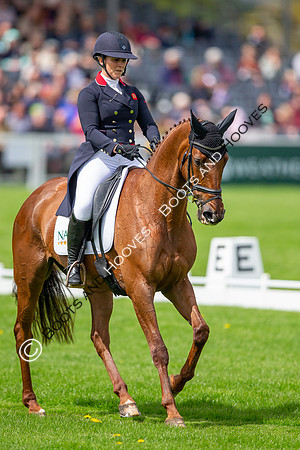 Badminton Horse Trials presented by Mars Equestrian