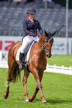 Badminton Horse Trials presented by Mars Equestrian