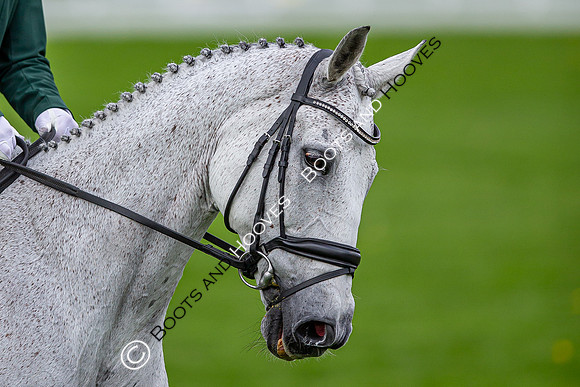 Badminton Horse Trials presented by Mars Equestrian
