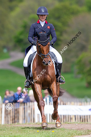Badminton Horse Trials presented by Mars Equestrian