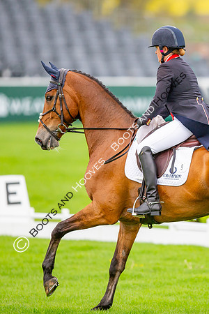 Badminton Horse Trials presented by Mars Equestrian