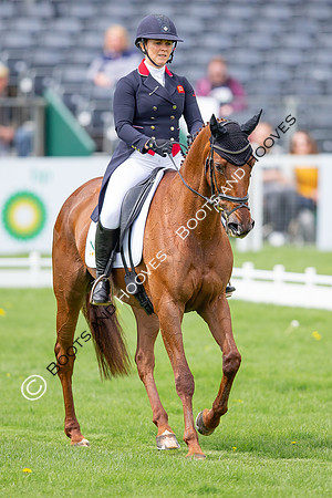 Badminton Horse Trials presented by Mars Equestrian