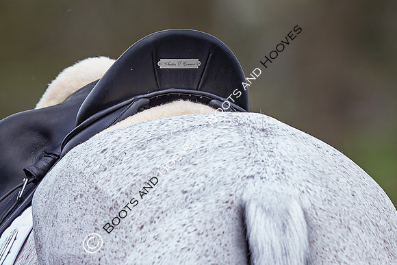 Badminton Horse Trials presented by Mars Equestrian