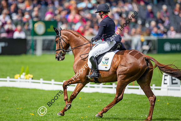 Badminton Horse Trials presented by Mars Equestrian