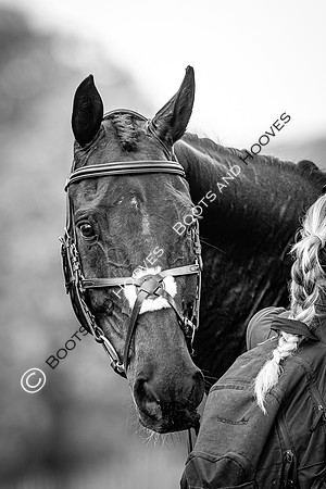 Badminton Horse Trials presented by Mars Equestrian
