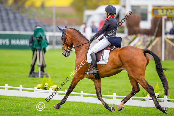 Badminton Horse Trials presented by Mars Equestrian