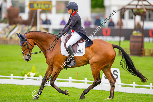 Badminton Horse Trials presented by Mars Equestrian