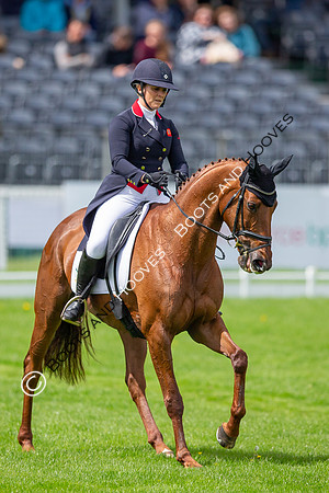 Badminton Horse Trials presented by Mars Equestrian