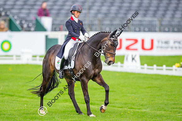 Badminton Horse Trials presented by Mars Equestrian