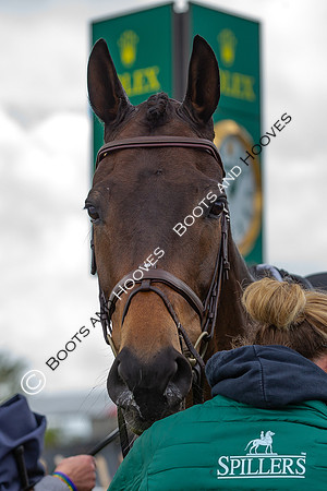 Badminton Horse Trials presented by Mars Equestrian