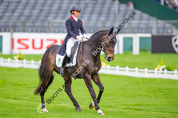 Badminton Horse Trials presented by Mars Equestrian