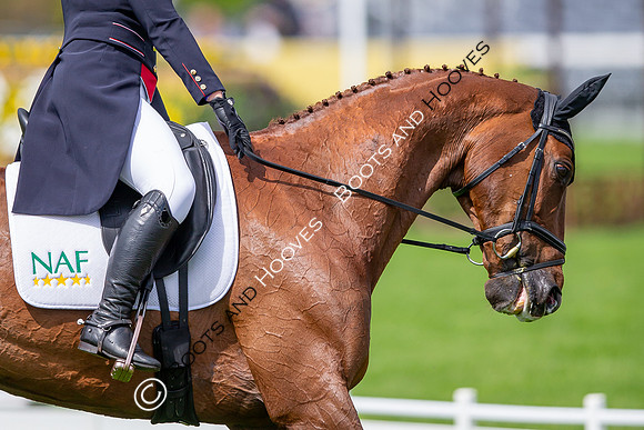 Badminton Horse Trials presented by Mars Equestrian