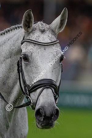 Badminton Horse Trials presented by Mars Equestrian