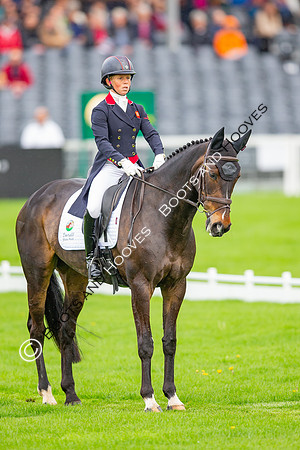 Badminton Horse Trials presented by Mars Equestrian