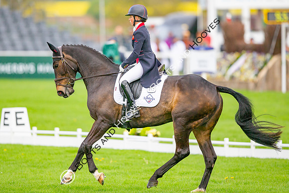 Badminton Horse Trials presented by Mars Equestrian