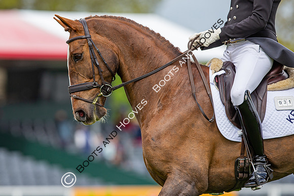 Badminton Horse Trials presented by Mars Equestrian