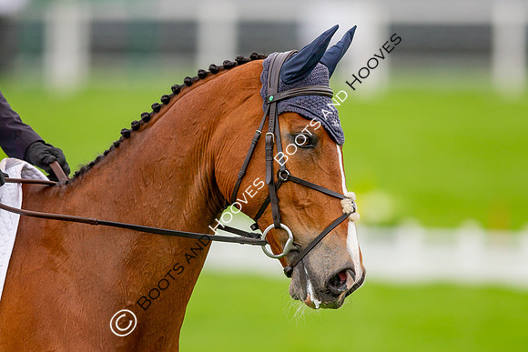 Badminton Horse Trials presented by Mars Equestrian
