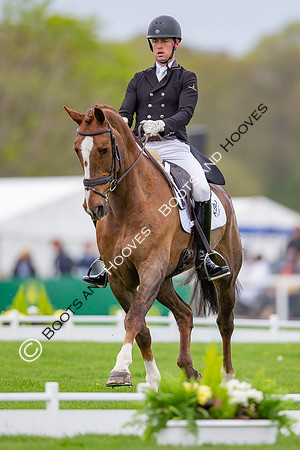 Badminton Horse Trials presented by Mars Equestrian