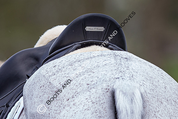 Badminton Horse Trials presented by Mars Equestrian