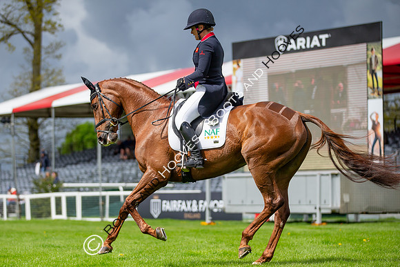 Badminton Horse Trials presented by Mars Equestrian