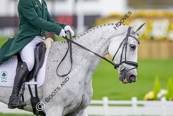 Badminton Horse Trials presented by Mars Equestrian