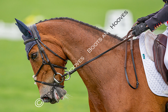 Badminton Horse Trials presented by Mars Equestrian