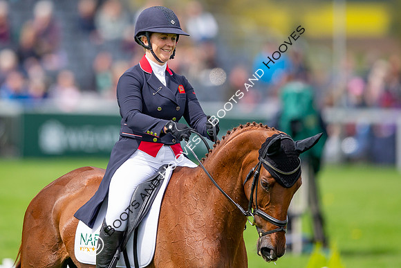 Badminton Horse Trials presented by Mars Equestrian