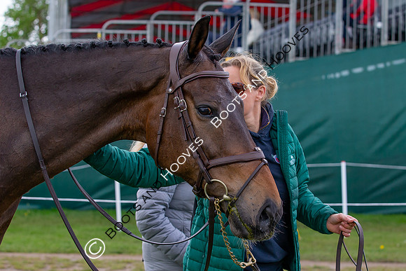 Badminton Horse Trials presented by Mars Equestrian