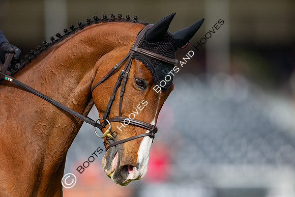 Badminton Horse Trials presented by Mars Equestrian