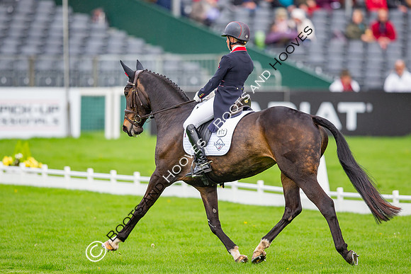 Badminton Horse Trials presented by Mars Equestrian