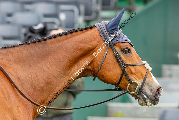 Badminton Horse Trials presented by Mars Equestrian