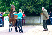 Horse Trials