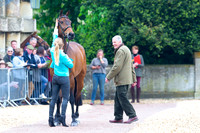 Horse Trials