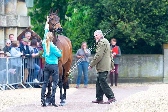 Horse Trials