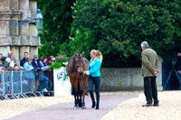 Horse Trials