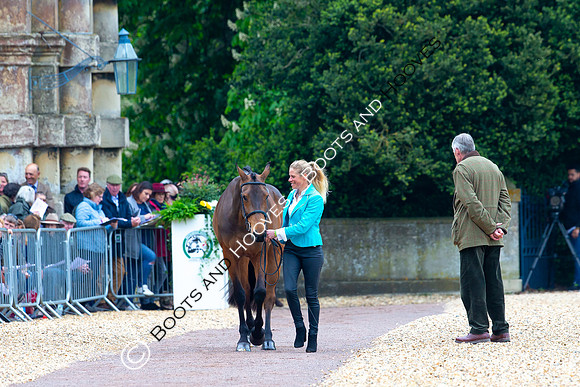 Horse Trials