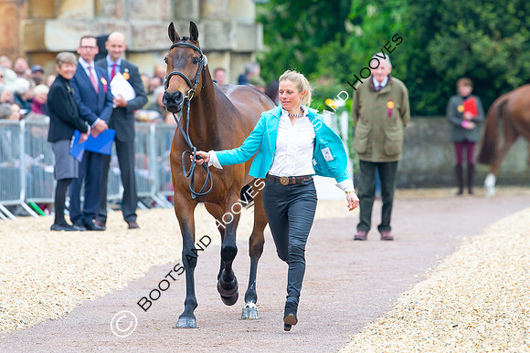 Horse Trials