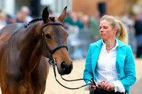 Horse Trials