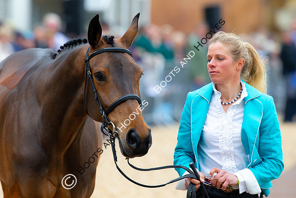 Horse Trials