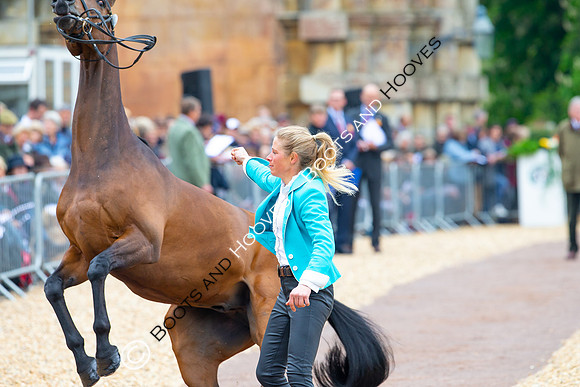 Horse Trials