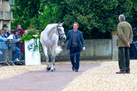 Horse Trials
