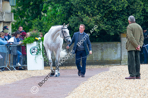 Horse Trials